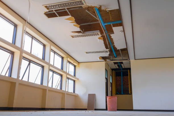 Best Ceiling water damage repair  in Glassport, PA