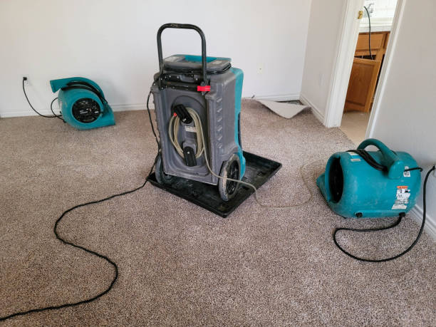 Best Local water damage restoration  in Glassport, PA