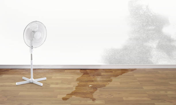 Best Flooded house restoration  in Glassport, PA