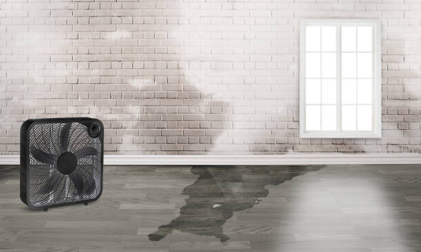 Best Local water damage restoration  in Glassport, PA