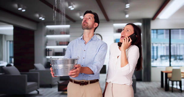 Best Water damage contractors near me  in Glassport, PA